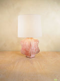 Cereus Lamp, Medium (Pink Acid Wash)