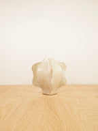 Cereus Vase, Small (White)